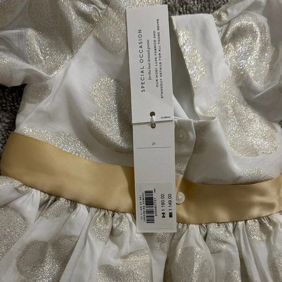 Janie and Jack Gold and Cream Formal Dress